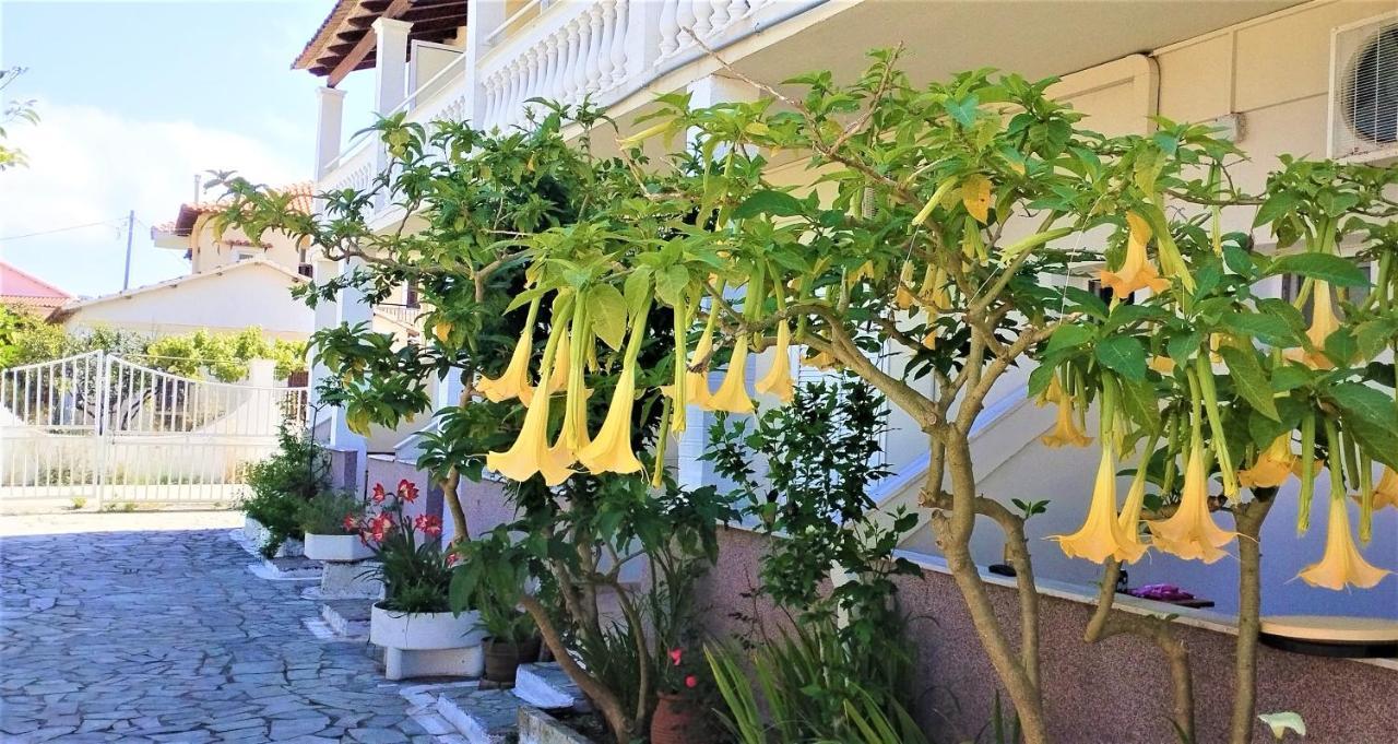 Eleni Apartments Sant George Beach Agios Georgios  Exterior foto